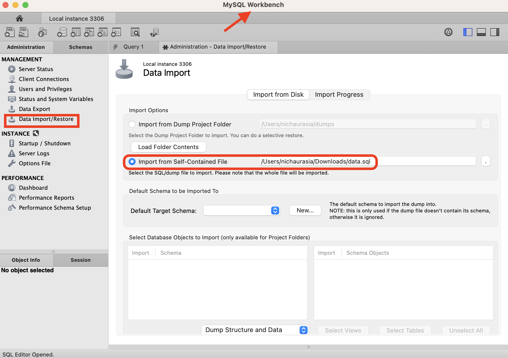 Import mySql data from dump file